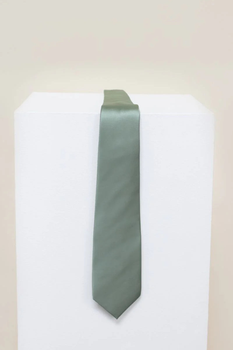 REWRITTEN Men Satin ties